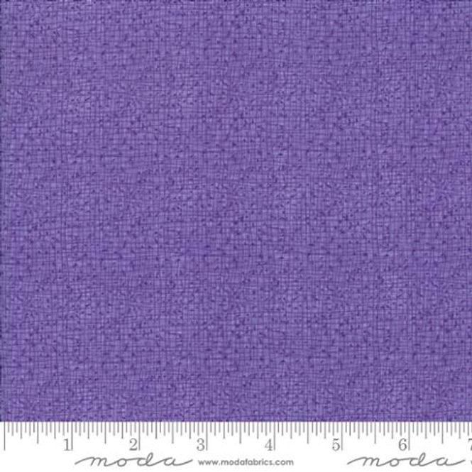 Hovedbilde Thatched aster purple