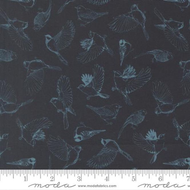 Hovedbilde Feather and forest midnight 50 cm