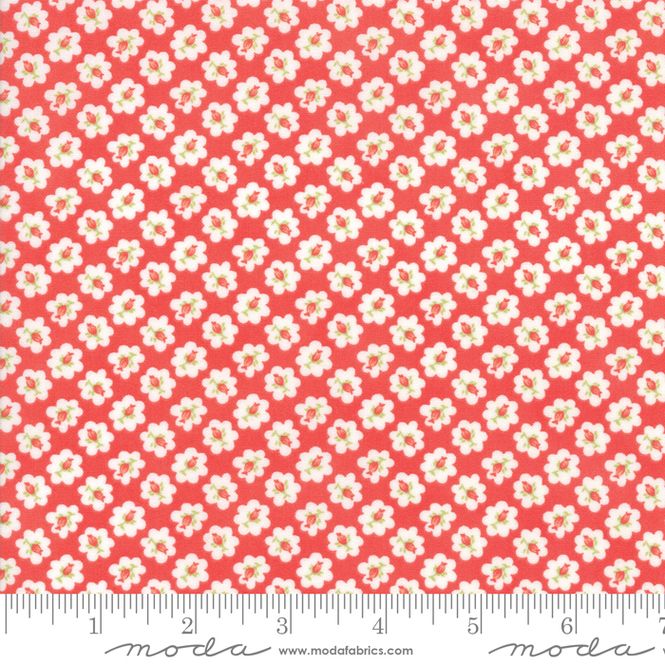 Hovedbilde Catalina red rose