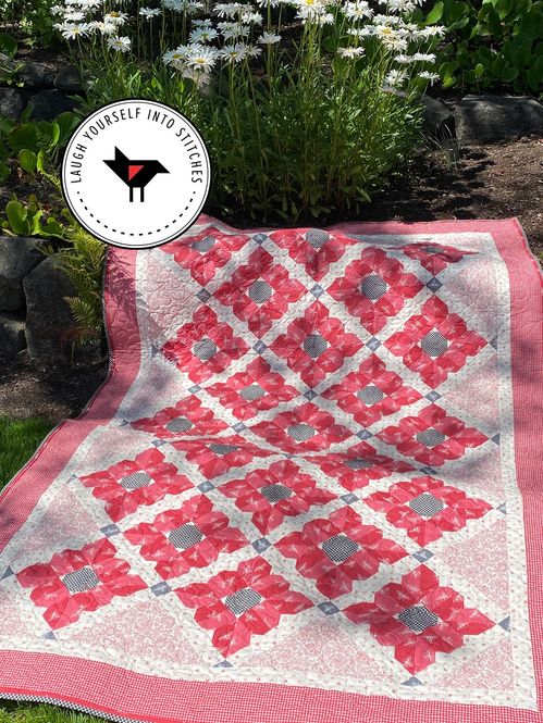 Hovedbilde Gerber Daisies