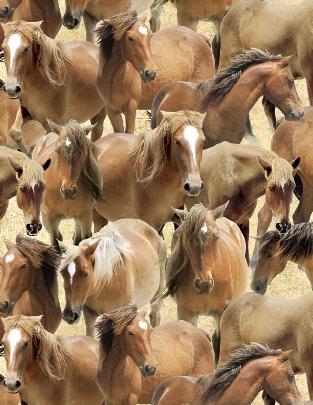 Greener pastures hester