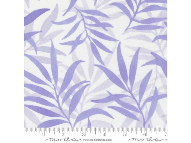 Hovedbilde Chickadee purple leaf 40 cm